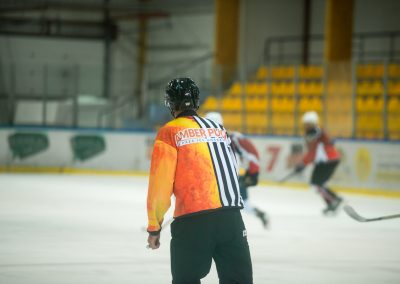 Amberpuck (98 of 1002)